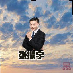 张振宇